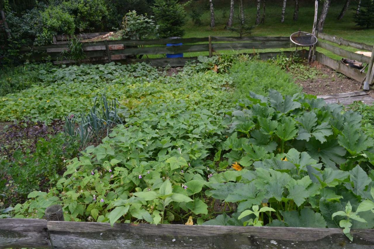 Agroturystyka Teosiowo Pobiedna Exterior photo